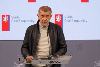 Babiš chce zastropovat marže u pohonných hmot - Novinky